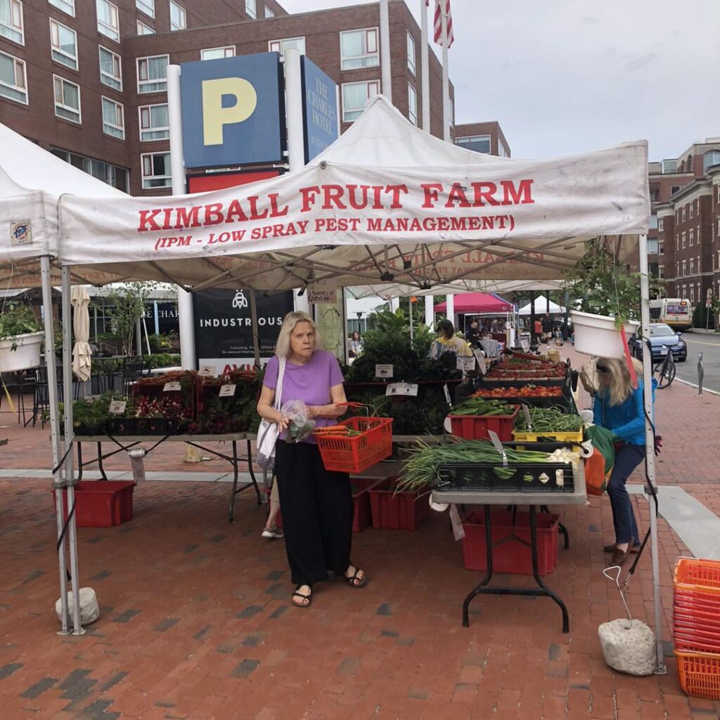 People buying and looking at products at theCharles River Farmers Market