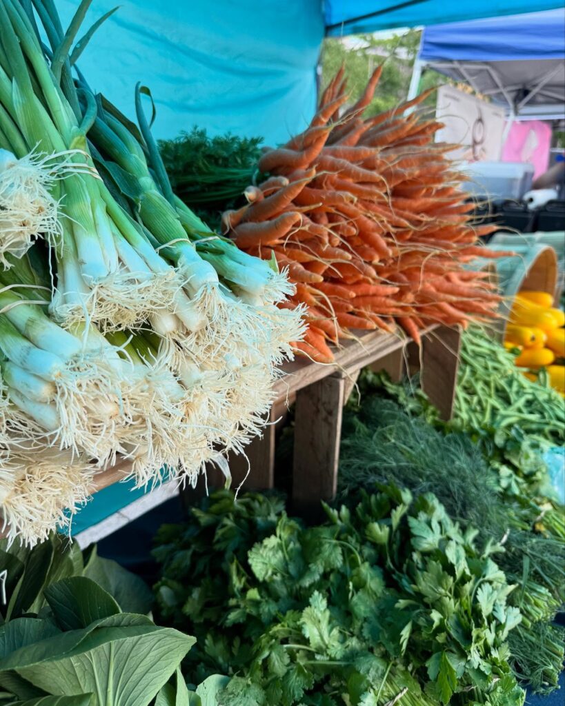 Fresh produce at Harvard University Farmers Market.