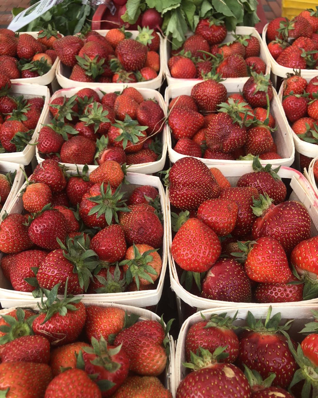 Strawberries at Charles River Farmers Market.