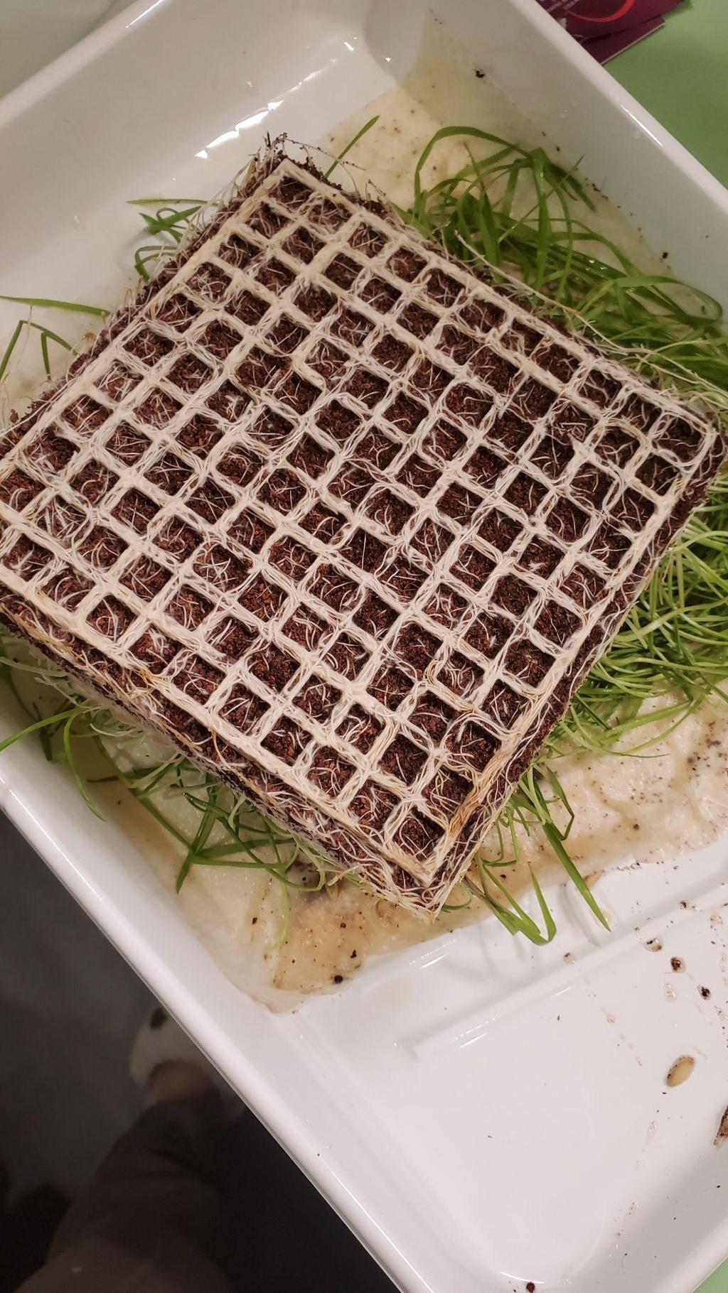 Materials used to make the root tapestries.