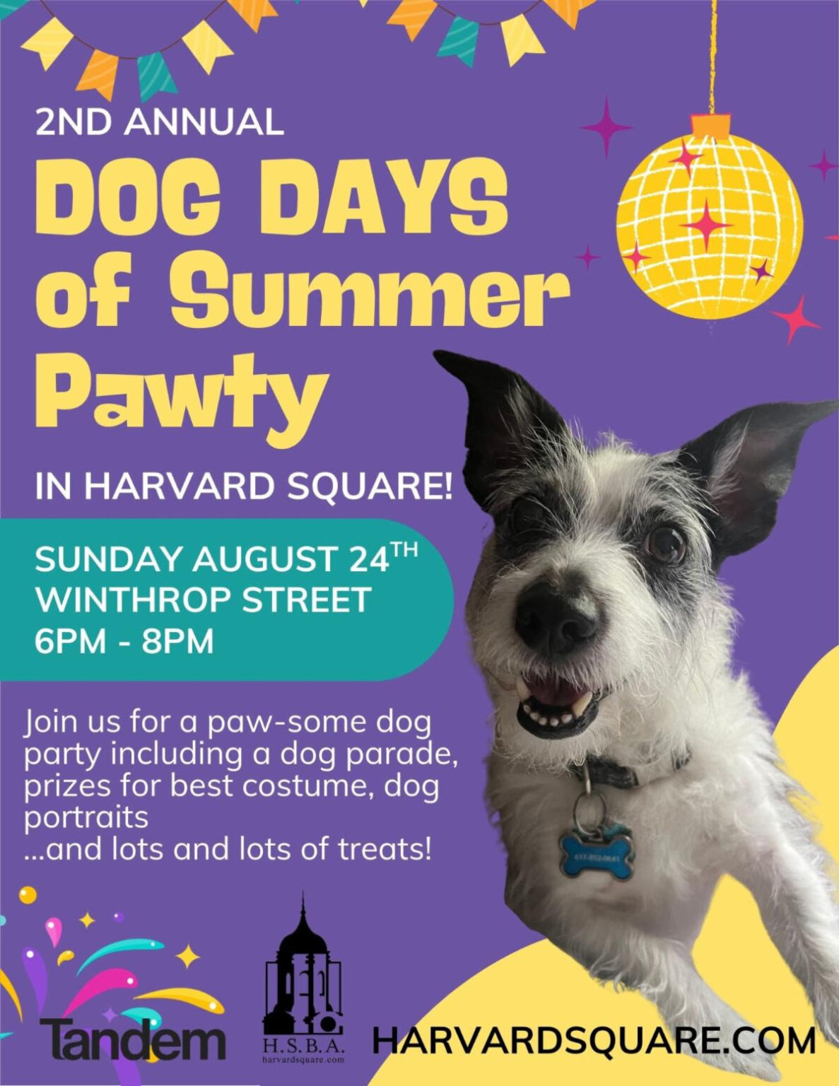 Picture of a dog on a poster