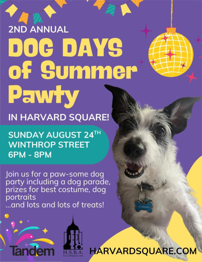 Picture of a dog on a poster