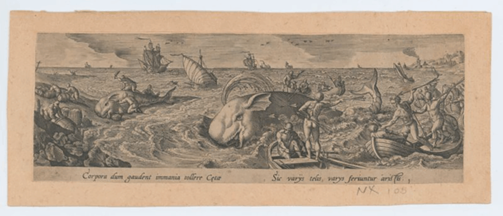 An artwork from the Monsters of the Deep exhibit at the MIT Museum.
