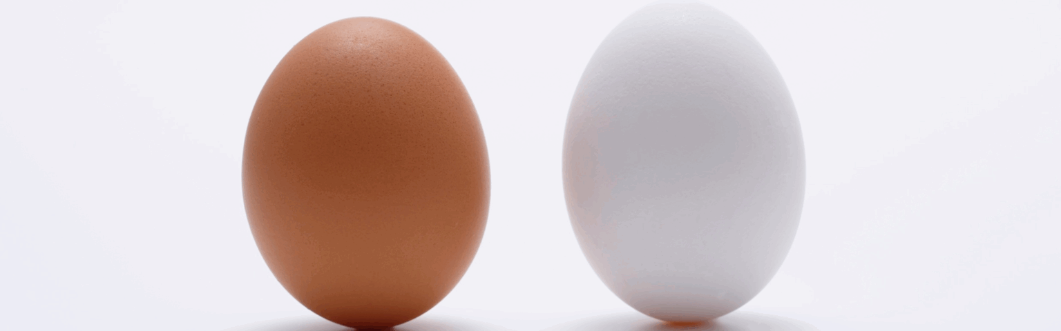 Two eggs: one brown and one white