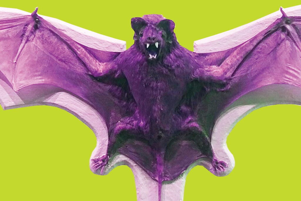A purple bat on a green background.